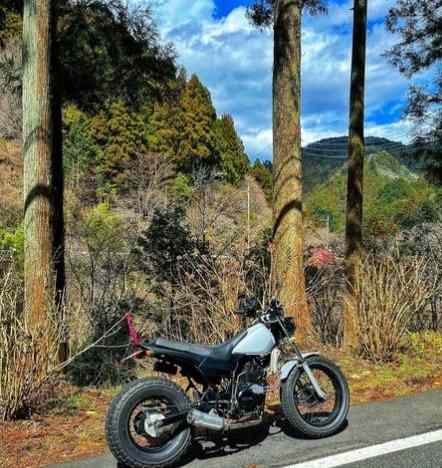 Garantili Kabataş Kurye Hizmeti