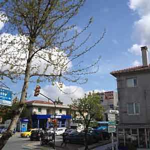 Nispetiye ekspres kurye