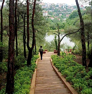 IMG 6245 scaled e1595083866133