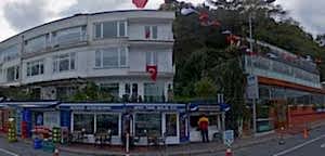 static pano.maps .yandex 3