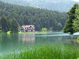 Gölcük Hızlı Kurye