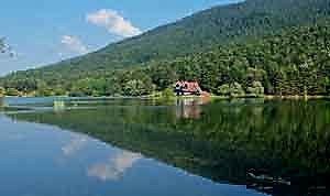 Gölcük Araçlı Kurye