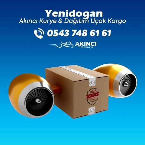 Yenidoğan Kurye Hizmetleri