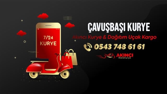 Çavuşbaşı Hızlı Kurye Lojistikleri 