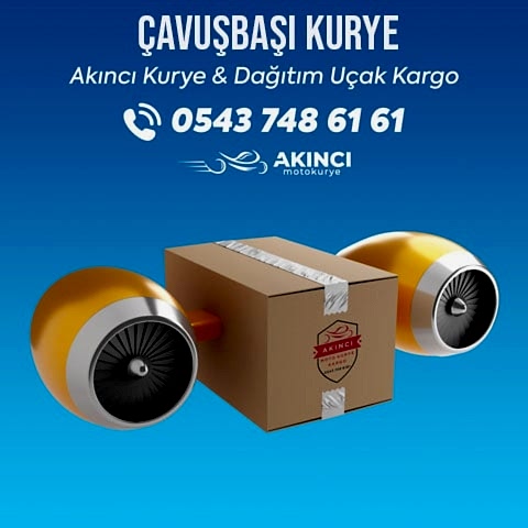 Çavuşbaşı Express Kurye 